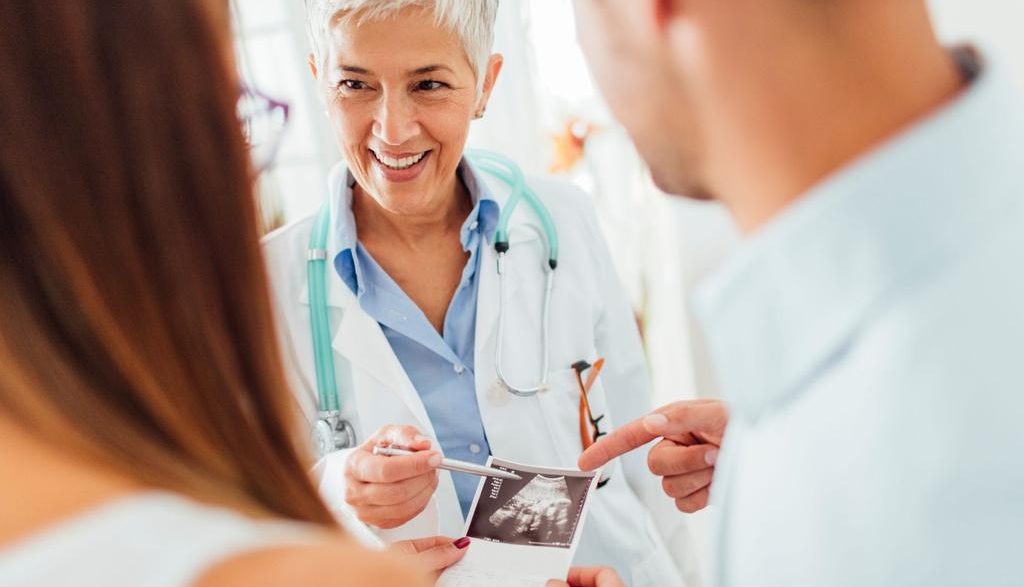 Program IVF