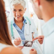 Program IVF