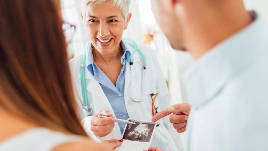 Program IVF