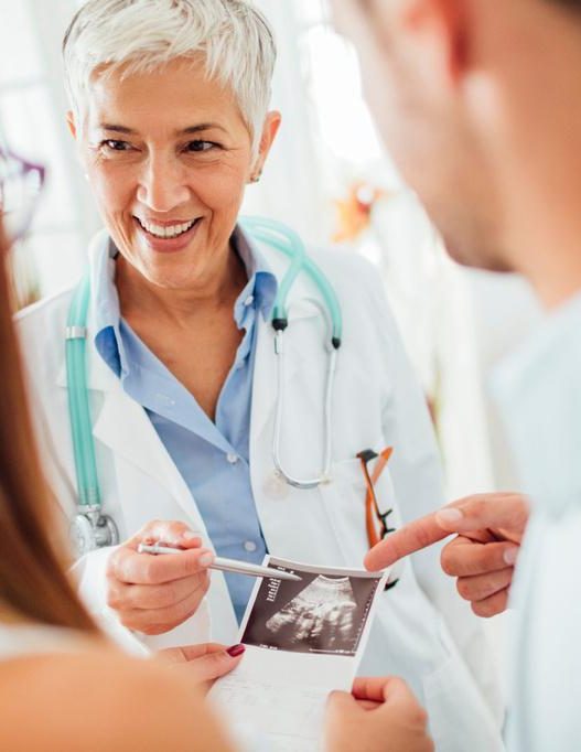 Program IVF